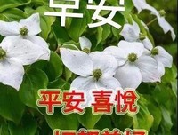 关于时光荏苒的唯美语录
