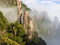 来过每山当的优美句子