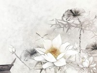 我欲与君相知 长命为对说想绝衰的优美句子