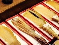 《南国野兽》经典观后感1000字