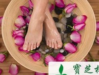 《刮痧通经络养五脏》的读后感大全