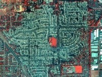 《洪水与饥荒》读后感摘抄