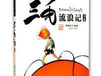 我的姑姑三毛读后感1000字