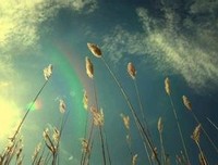 关于伤心桥下春波绿，曾是惊鸿照影来。的句子