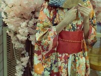 最全的《红衣佳人白衣友》语录摘抄大全