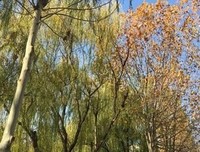 年底了，清空自己，让心归零！