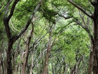 《狂野生活》影评精选
