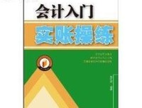 一看就懂的会计入门书经典读后感有感