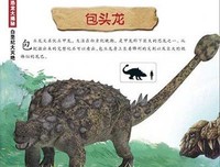 爱情、恐龙和猫读后感100字