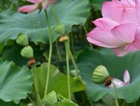 视觉笔记7堂课经典读后感有感