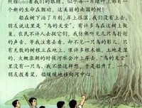 小鸟读后感100字