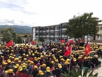 《请叫我英雄》经典观后感1000字