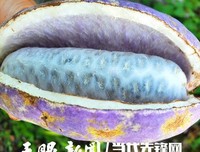 有关年起家什么的句子