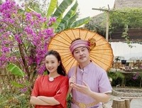 霸道的吊兰