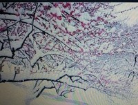 最全的蛋蛋名言大全