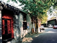 有关蝙蝠名言大全
