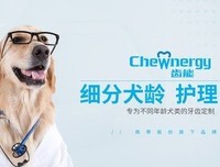 《一条狗的使命》观后感100字