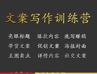 《高能文案：用超级带货力为产品赋能》读后感1000字
