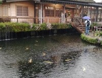 有关浮光掠影的美文美句摘抄