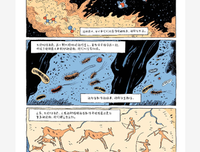 人类简史（知识漫画）：人类的诞生读后感100字