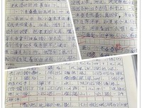 零基础实践深度学习经典读后感有感