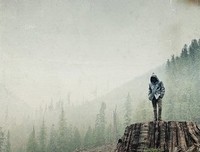 《如果树倒下：一个地球解放阵线的故事》好看吗？经典