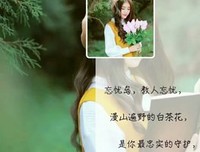 有关终不悔的句子