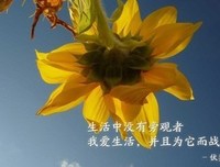 闲时的嘴角上扬的优美句子