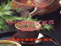 《政治》的句子