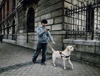 《导盲犬斯特拉》读后感100字