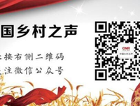 打你小也不27经典名句