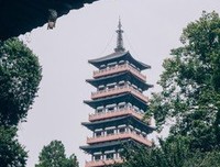 《唐朝的浮光与掠影》读后感100字