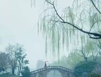 《只是眷恋这人间烟火：全新修订版》经典读后感有感