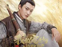 《我的宠物少将军》经典影评有感