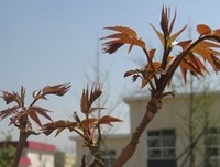 命运是自己选的
