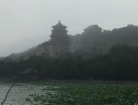 行走的博物馆指南读后感精选