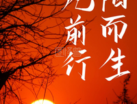 《向阳而生》读后感1000字