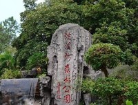 《梅林传奇 第四季》经典影评1000字