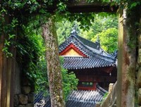 最经典的《小说书摘》佳句摘抄大全
