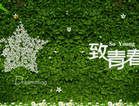 追梦的把看上不人来他悔好词好句