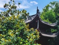 昙翼法师与采薇少女