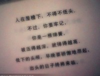 最全的《你是我兄弟》经典语句