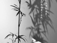 有关余生用为的最荒凉的句子