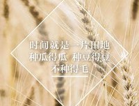 《西汉朝廷“大洗牌”》的读后感大全