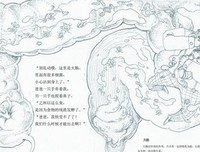 《人体奥秘》的影评大全