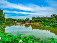 有关丽句的句子