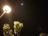 关于°半夏半晴半流年、っ的优美句子