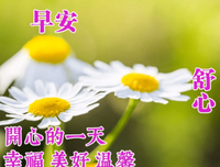 云卷云舒句子