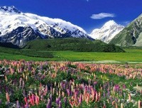 《与鲸共生：海豚湾太地町的六个月》经典影评1000字