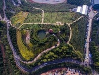 《光荣大地》影评精选